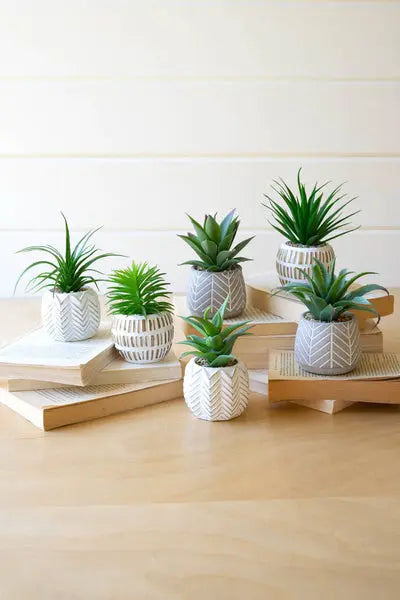 Set Of Six Artificial Succulents In Cement Pots Kalalou