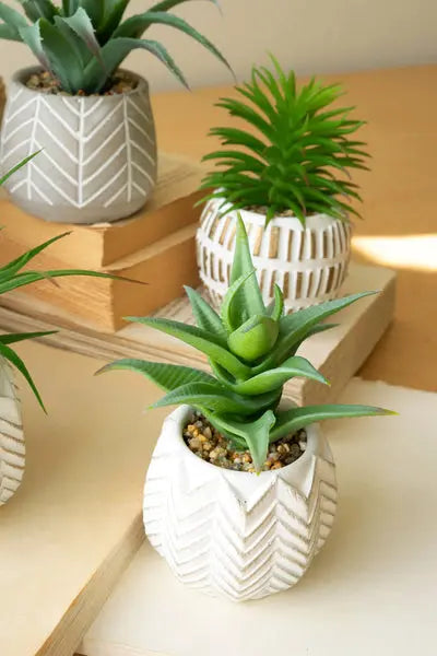 Set Of Six Artificial Succulents In Cement Pots Kalalou