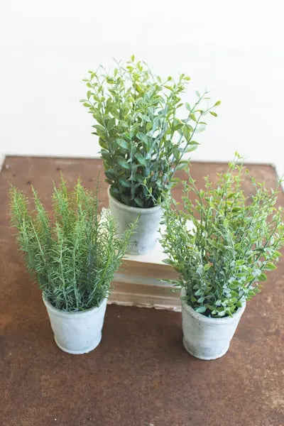 Set Of Three Artifial Herbs In Cement Pots Kalalou