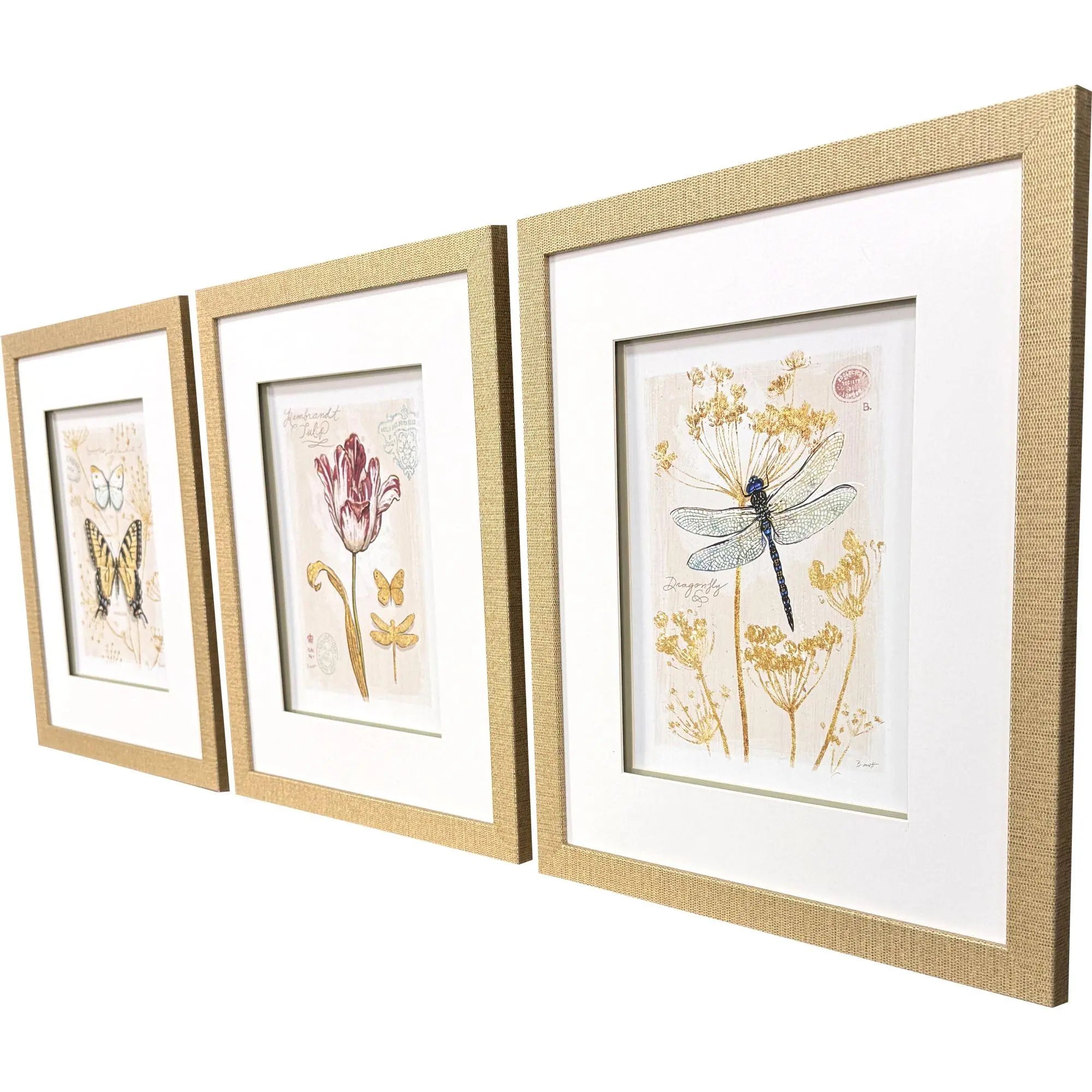 Set Of Three Nature's Wonder I Set of 3 Gold Framed Wall Art Homeroots Home Decor