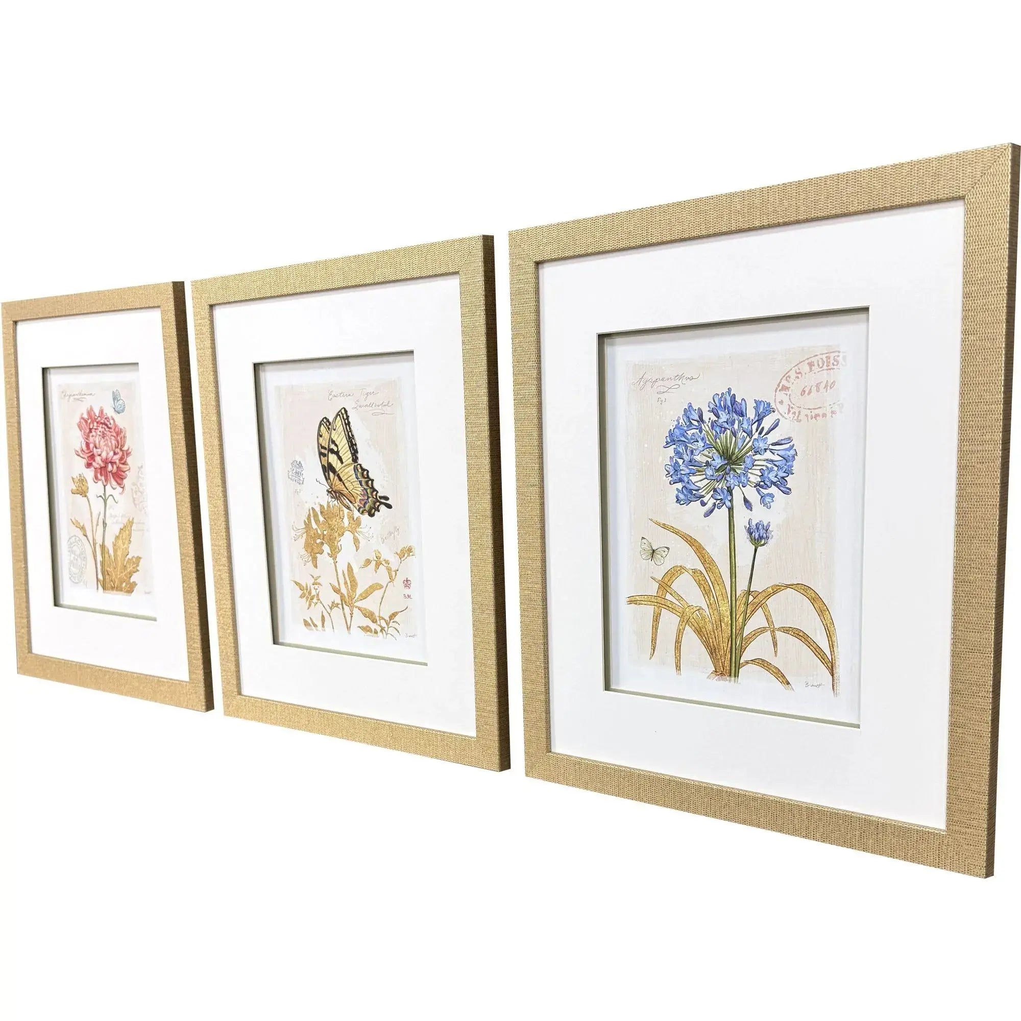 Set Of Three Nature's Wonder II Set of 3 Gold Framed Wall Art Homeroots Home Decor