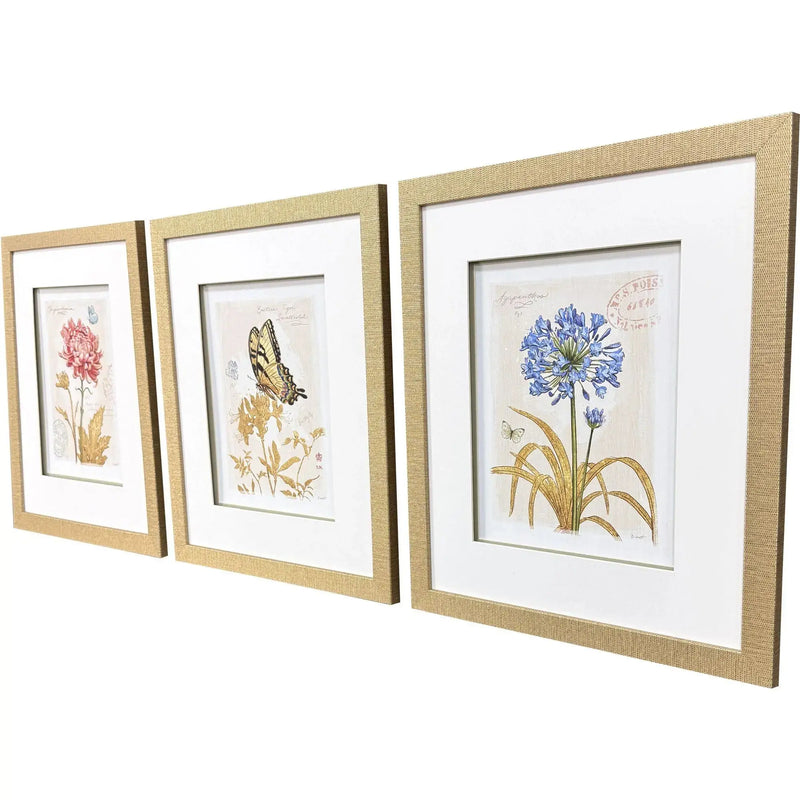 Set Of Three Nature's Wonder II Set of 3 Gold Framed Wall Art Homeroots Home Decor