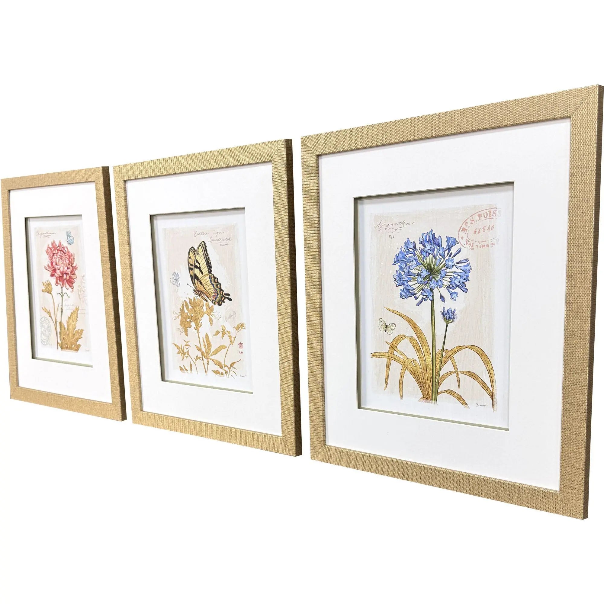 Set Of Three Nature's Wonder II Set of 3 Gold Framed Wall Art Homeroots Home Decor