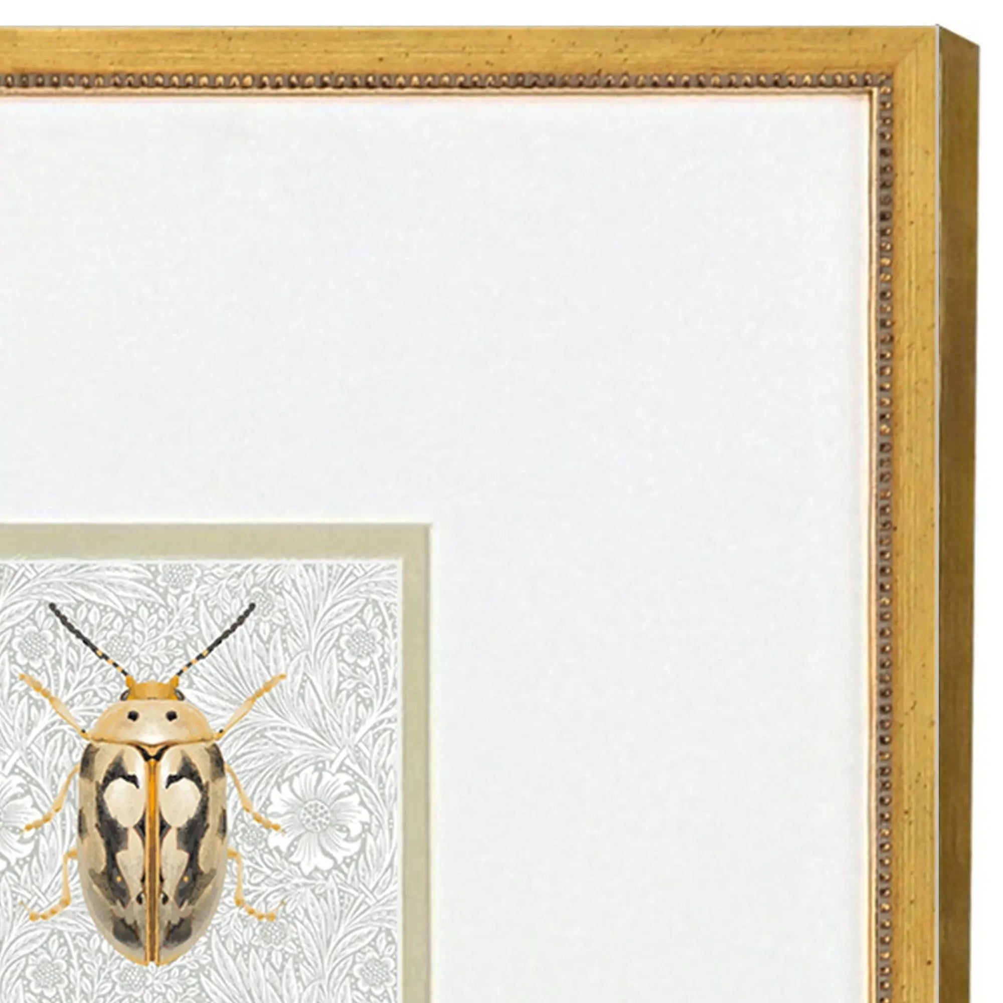 Set Of Two Beetles Set of Set Gold Framed Wall Art Homeroots Home Decor