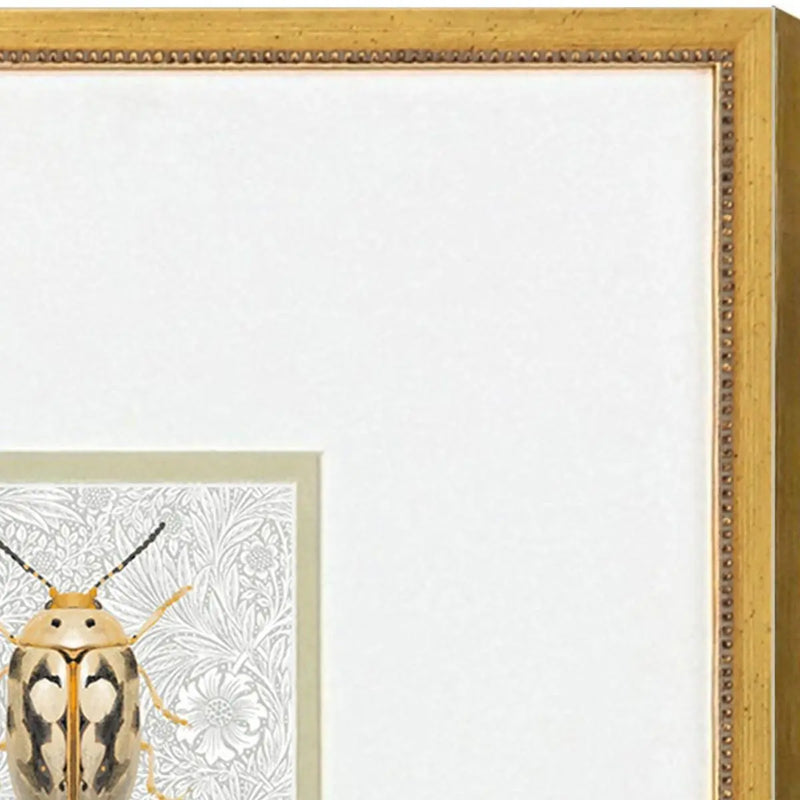 Set Of Two Beetles Set of Set Gold Framed Wall Art Homeroots Home Decor