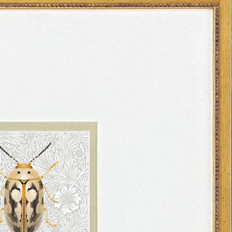 Set Of Two Beetles Set of Set Gold Framed Wall Art Homeroots Home Decor