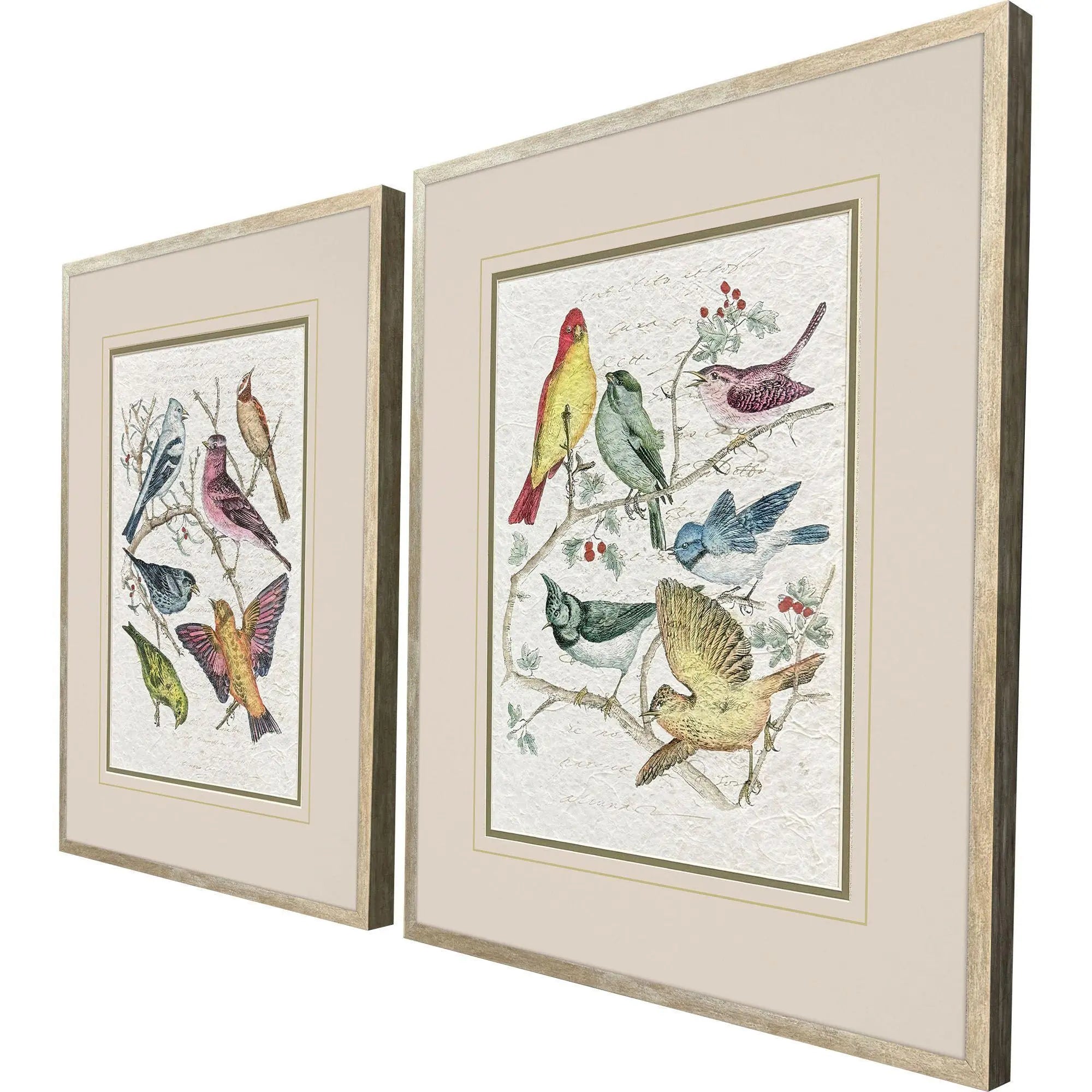Set Of Two Bird Variety Set of Set Silver Framed Wall Art Homeroots Home Decor