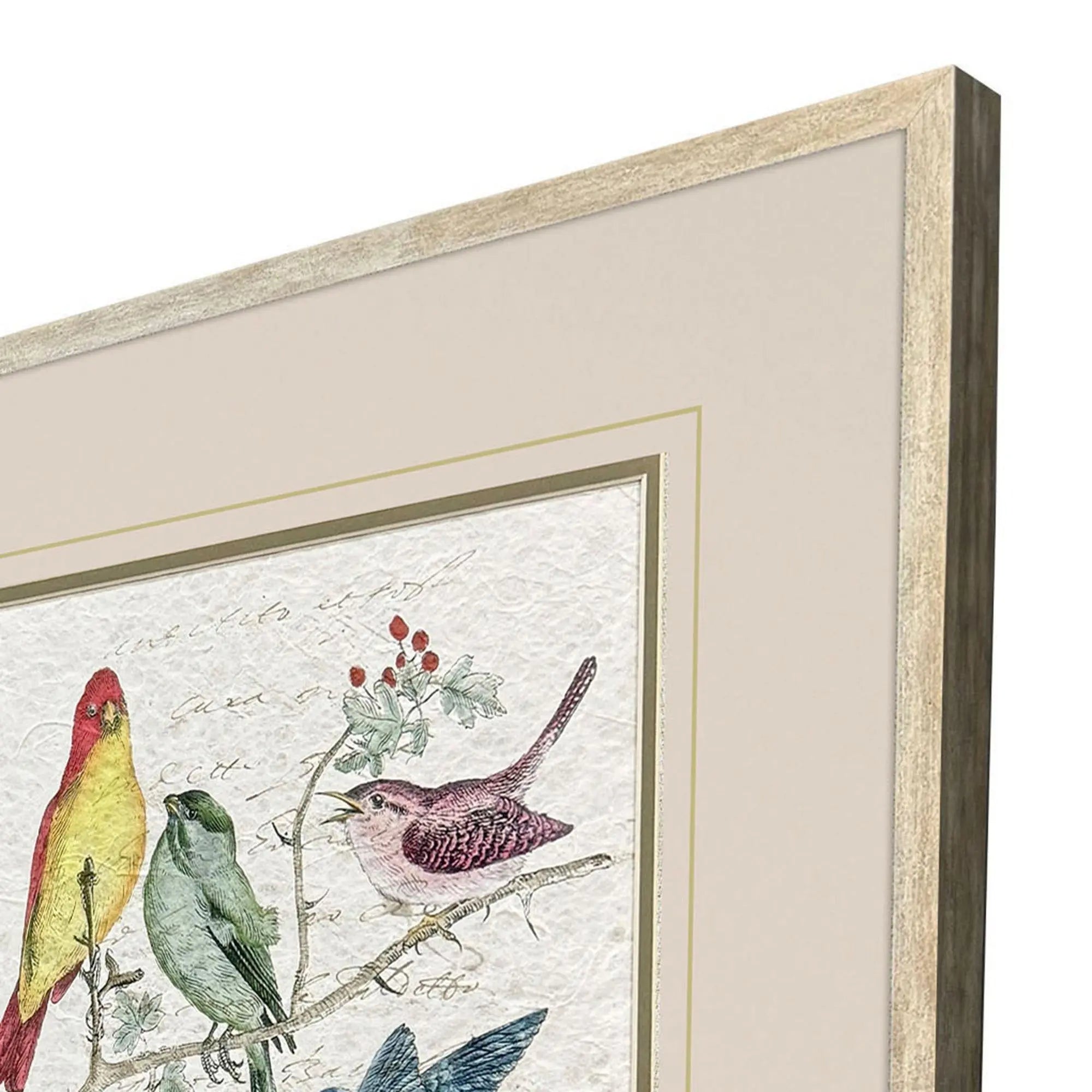 Set Of Two Bird Variety Set of Set Silver Framed Wall Art Homeroots Home Decor