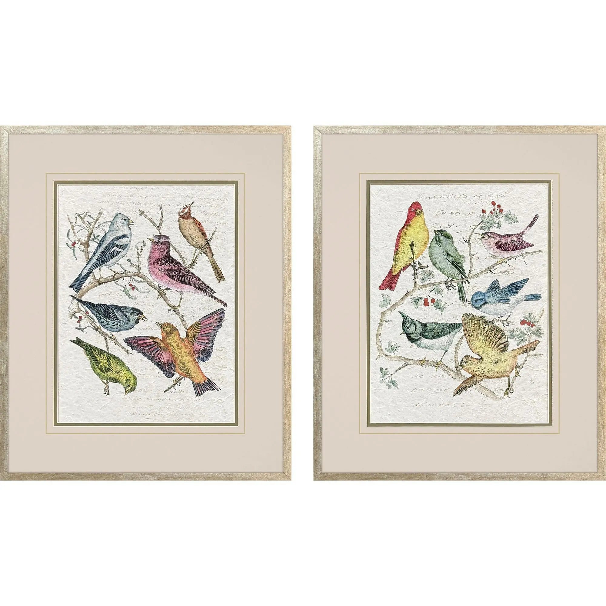 Set Of Two Bird Variety Set of Set Silver Framed Wall Art Homeroots Home Decor