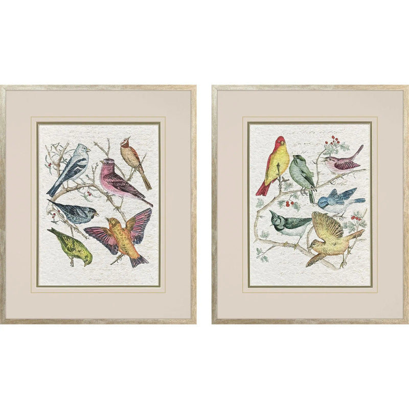 Set Of Two Bird Variety Set of Set Silver Framed Wall Art Homeroots Home Decor