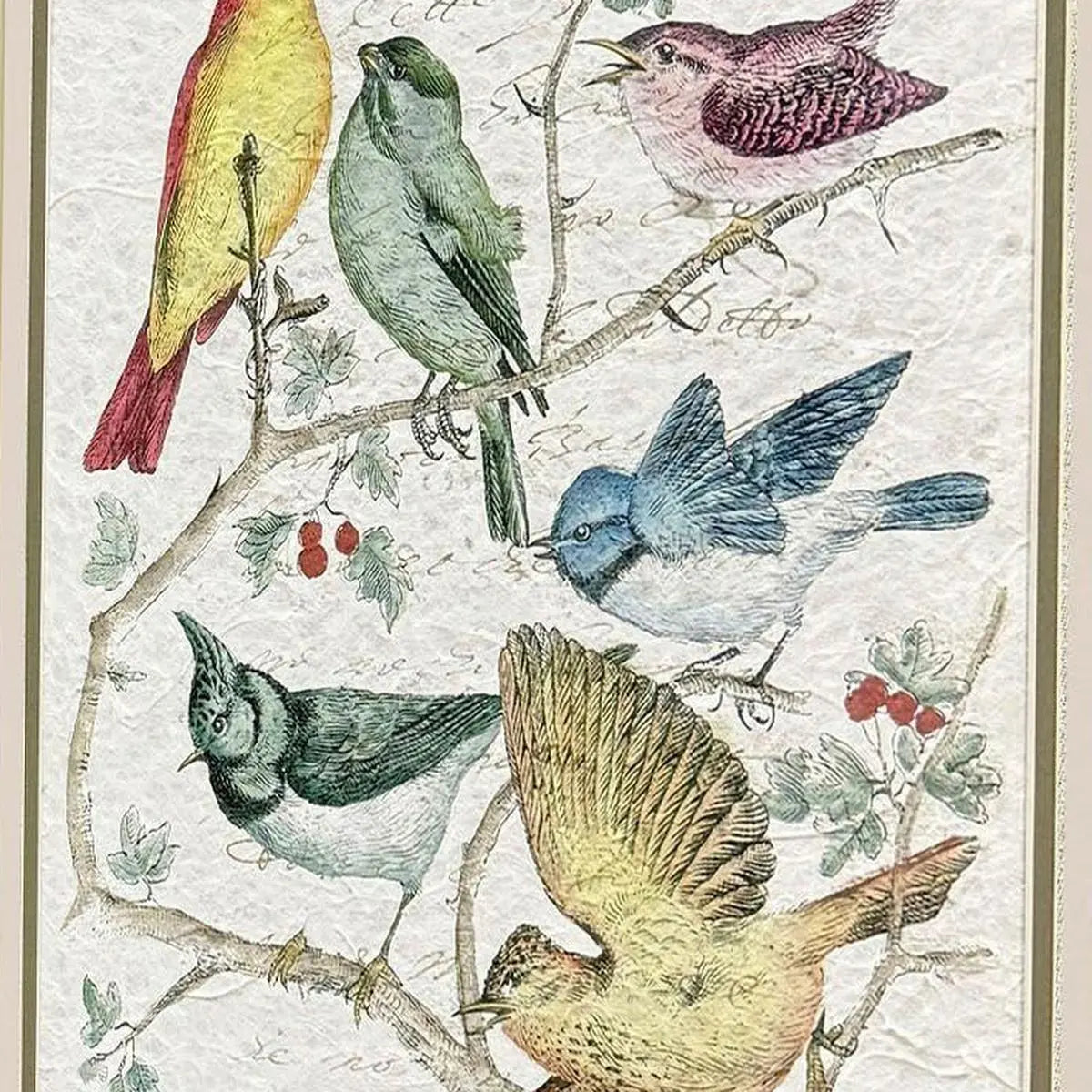 Set Of Two Bird Variety Set of Set Silver Framed Wall Art Homeroots Home Decor