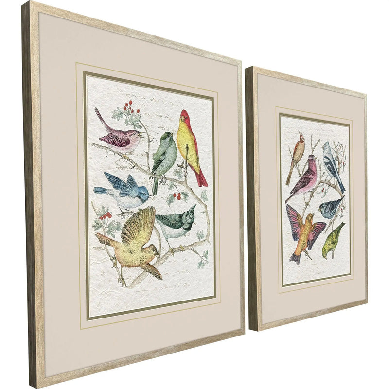 Set Of Two Bird Variety Set of Set Silver Framed Wall Art Homeroots Home Decor