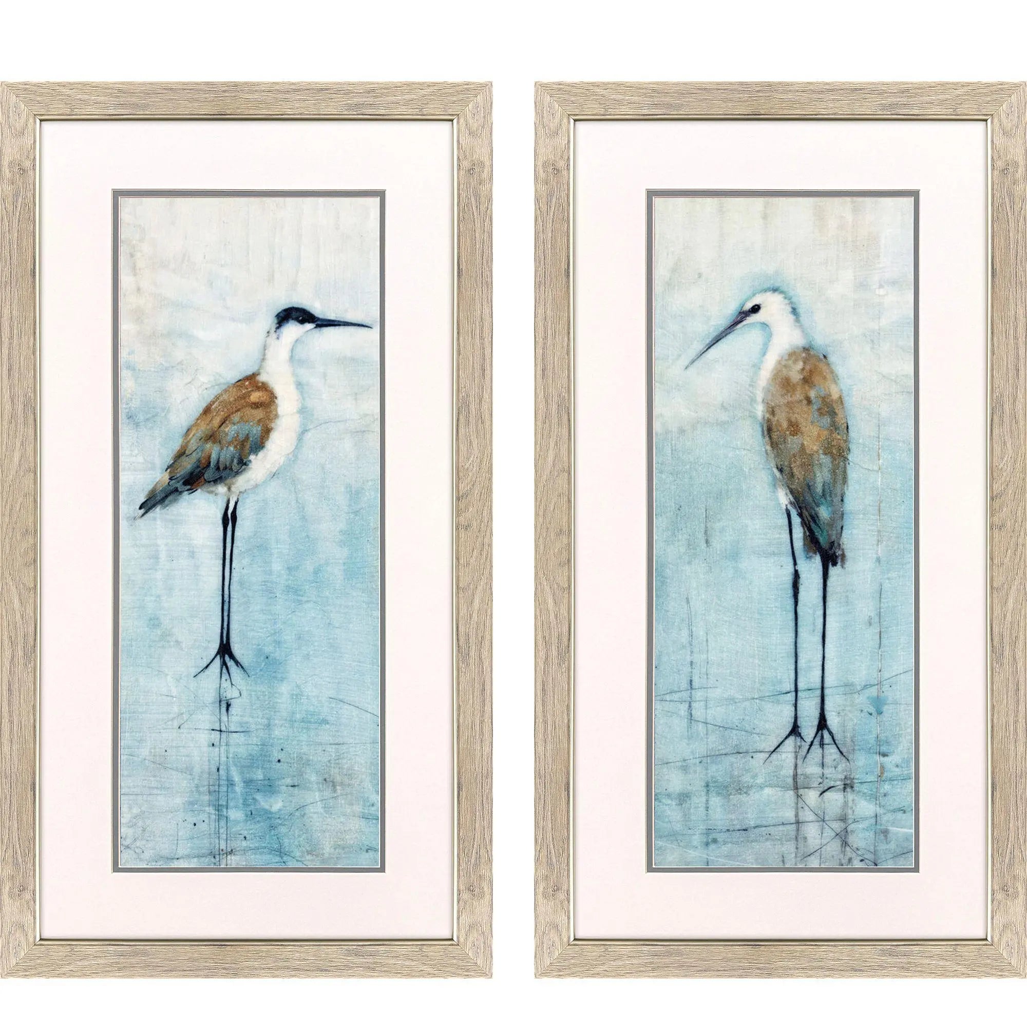 Set Of Two Seabirds Panel Set of Set Brown Framed Wall Art Homeroots Home Decor