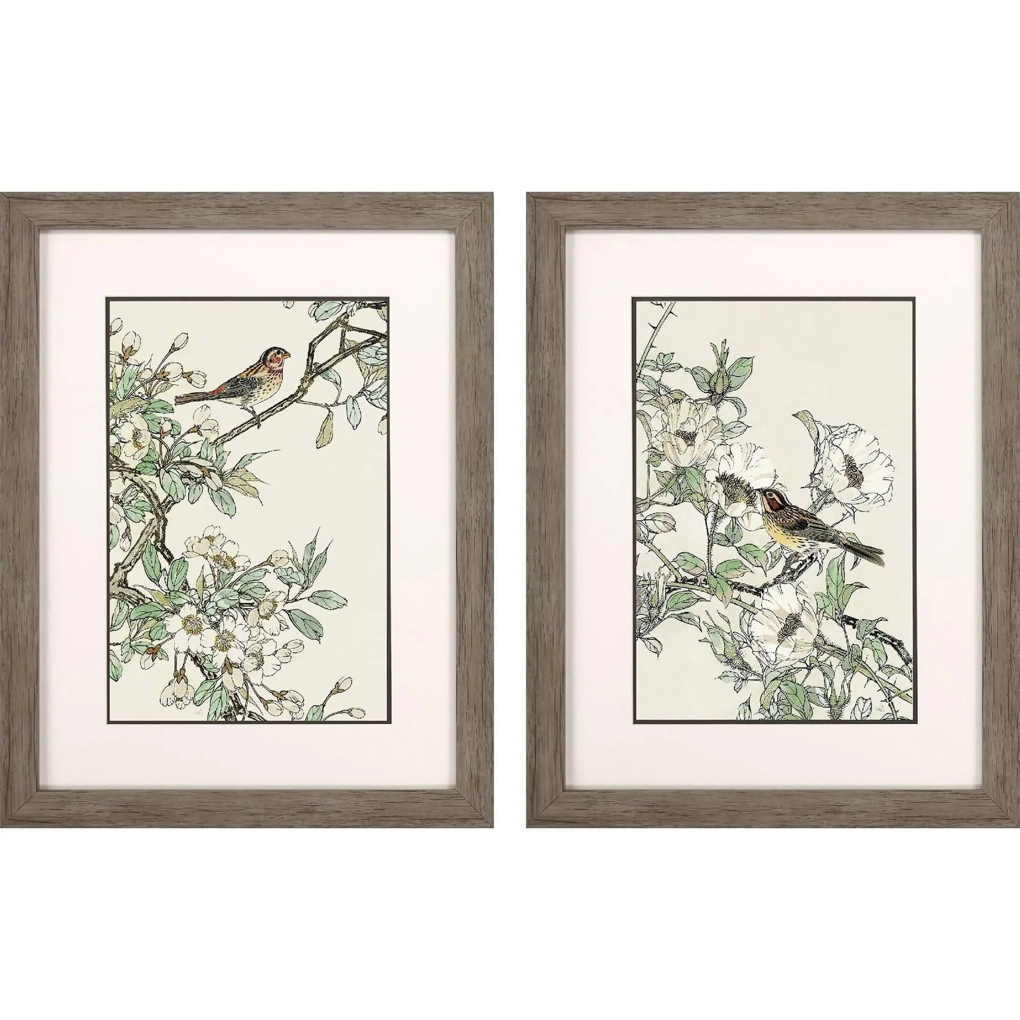 Framed bird art prints in muted colors, featuring delicate floral designs and a rustic wood frame.