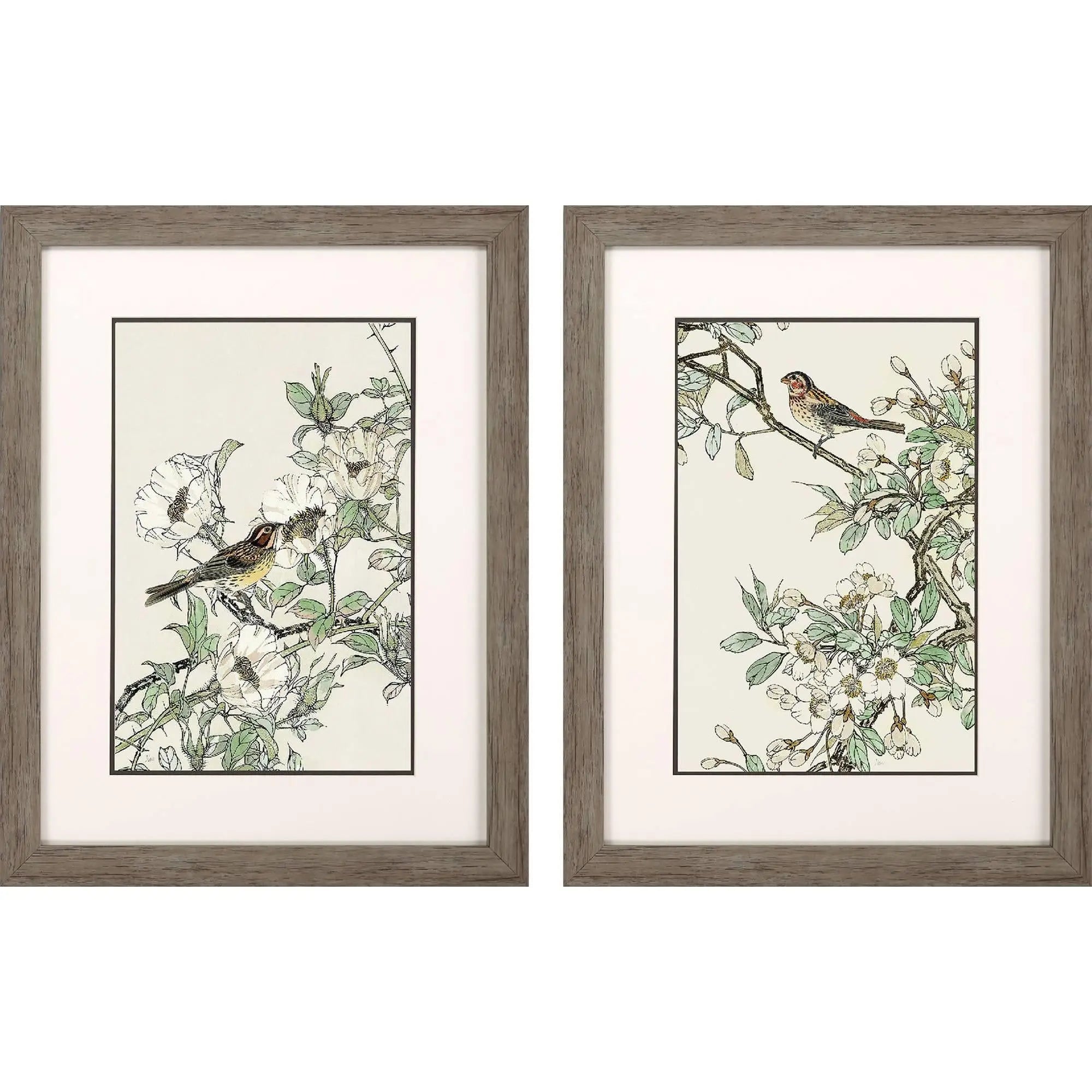 Framed art prints of birds on floral backgrounds, featuring soft colors and rustic gray frames. Set of two.