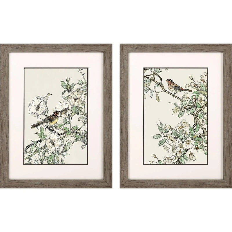 Framed art prints of birds on floral backgrounds, featuring soft colors and rustic gray frames. Set of two.