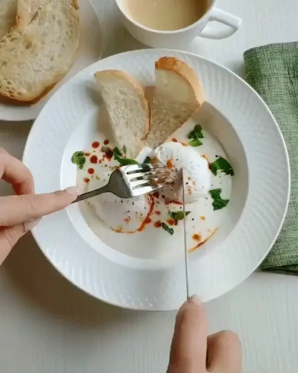 [ Set of 6 ] DINNER PLATE 10" | 25.5 CM Wilmax
