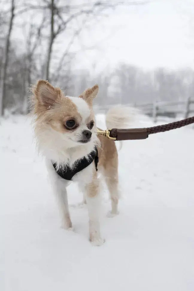 Shearling Fur Grip Bonne et Filou