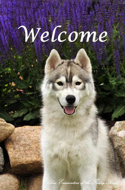 Siberian Husky - Close Encounters of the Furry Kind Welcome  House and Garden Flags Best of Breed