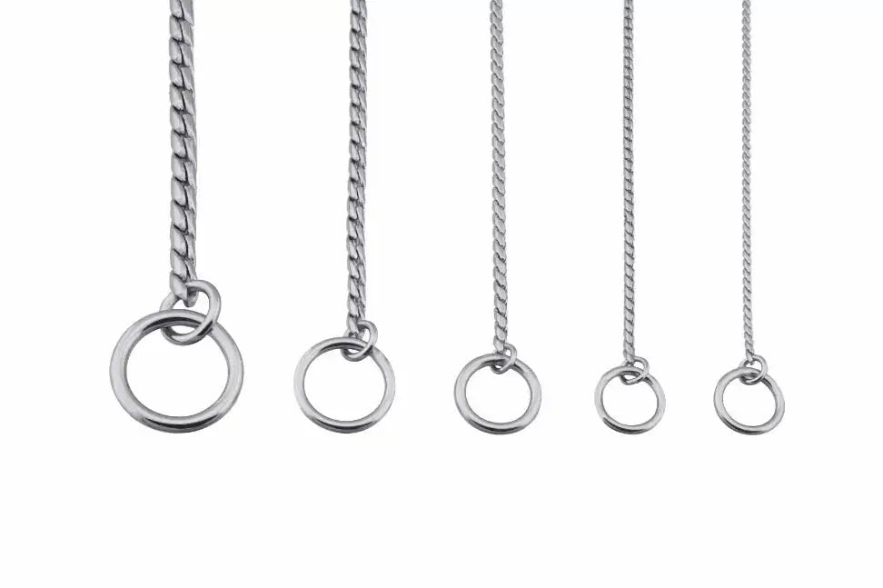 Slip Snake Show Chain Collar Alvalley LLC