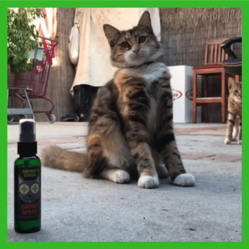 Smokey's Stash Catnip Spray Bottle Smokey's Stash
