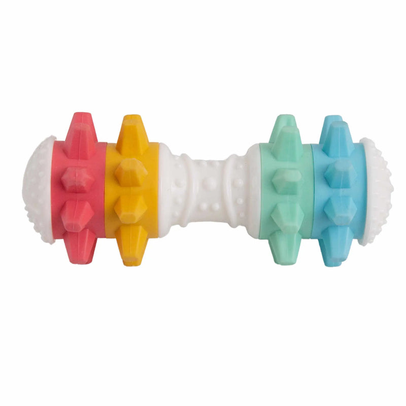 SnugArooz Shake It Off Dog Chew Toy Multicolored 5" SnugArooz