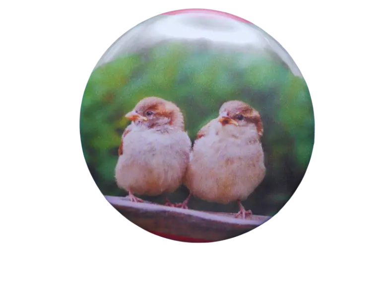 Sparrows Bravo Buttons