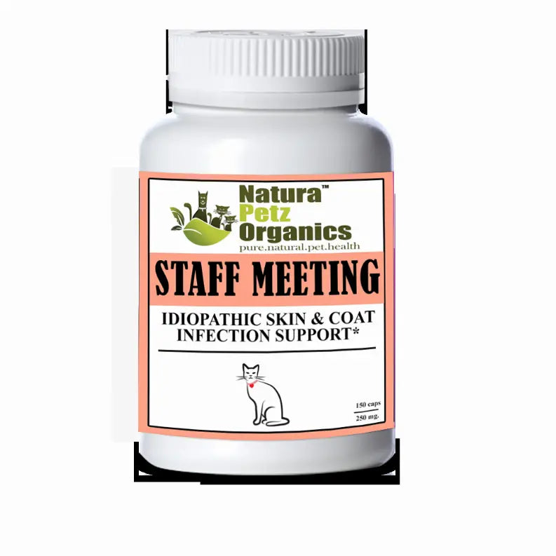 Staff Meeting* Idiopathic Skin & Coat Infection* Support For Dogs And Cats* Organic Pet Systems
