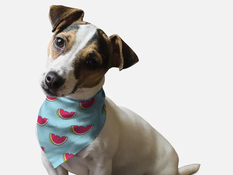 Summer Watermelon Bandoggies