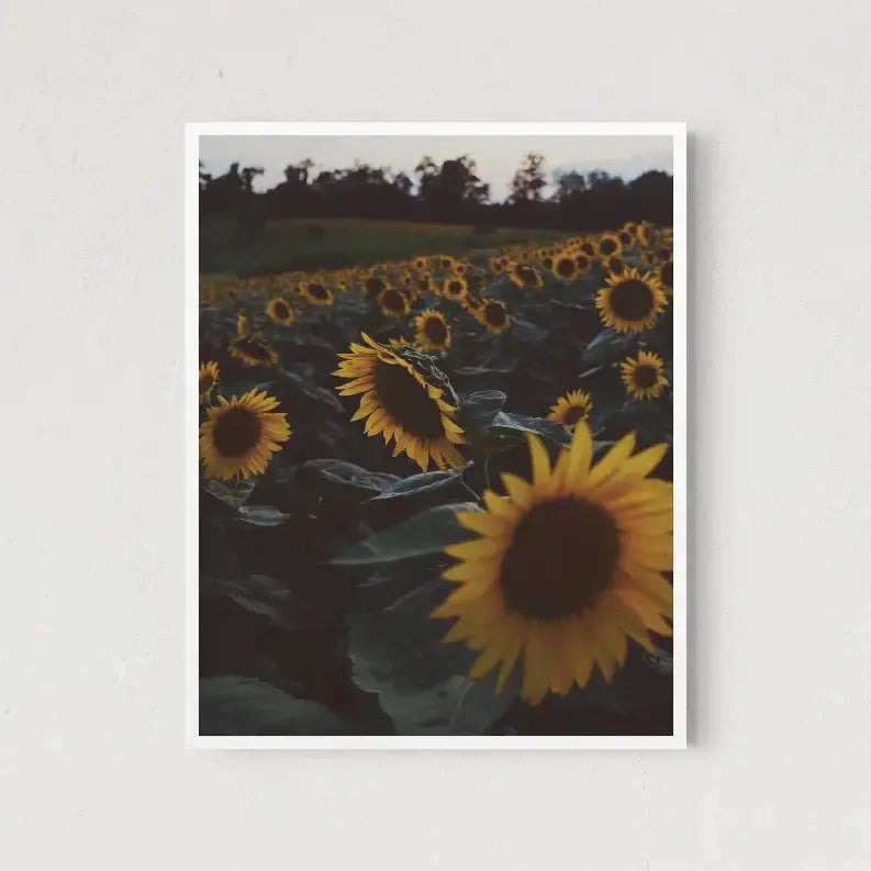Sunflowers The Crafted Prints