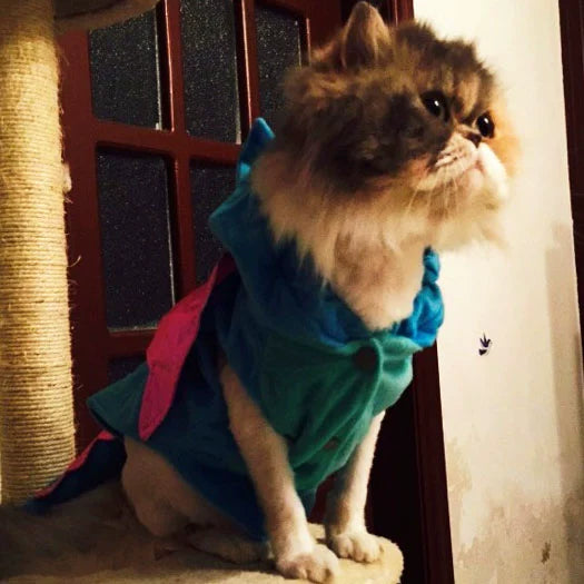 Super Cute New Arrival Pet Clothes Creative Dinosaur Clothes Bichon Teddy Dog Pet Costume Fall and Winter Cat Vest Two Feet