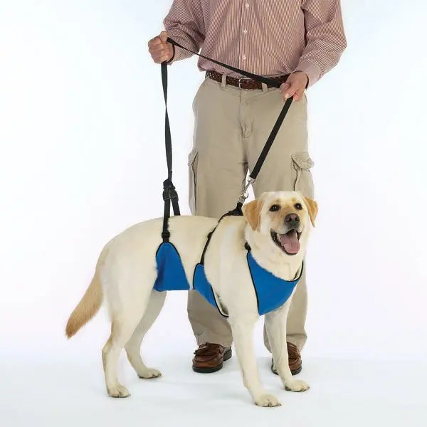 TPH Lift & Lead 4 in 1 Total Pet Health
