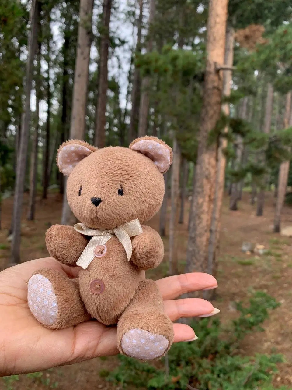 Teddy Bear In Light Brown Frank and Bubby