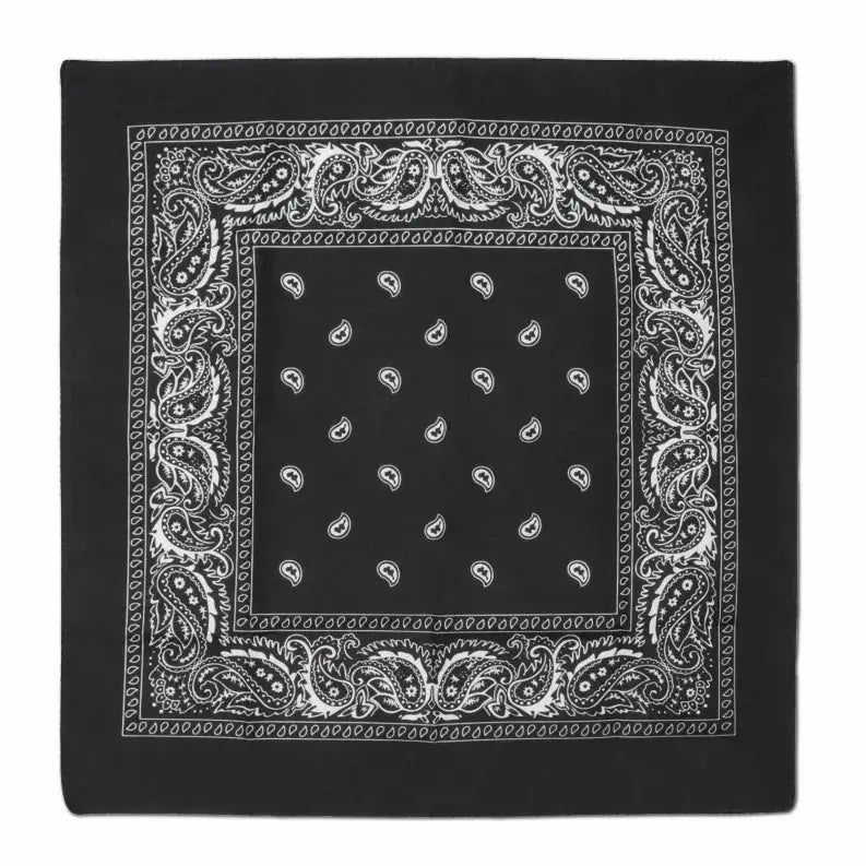Themed Bandanas Beistle