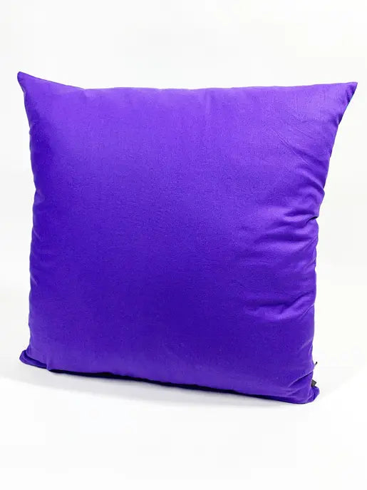 Throw Pillow Cover Sought + Found