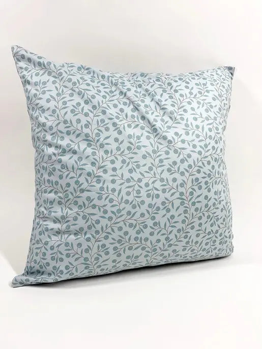 Throw Pillow Sought + Found