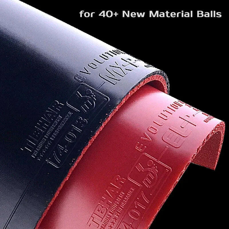 S35e313f02bcb495e803432f3e54984b53