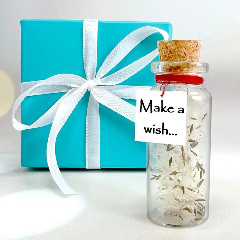 Tiny Magical Message in a Bottle Gift Idea   Classy Inspirational Gifts for Him and Her   Unique Presents for Women and Men (White Dandelion   Make a Wish in Teal Gift Box) - GreatEagleInc