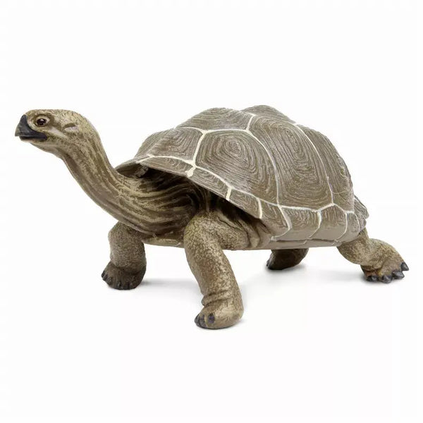Tortoise Safari LTD