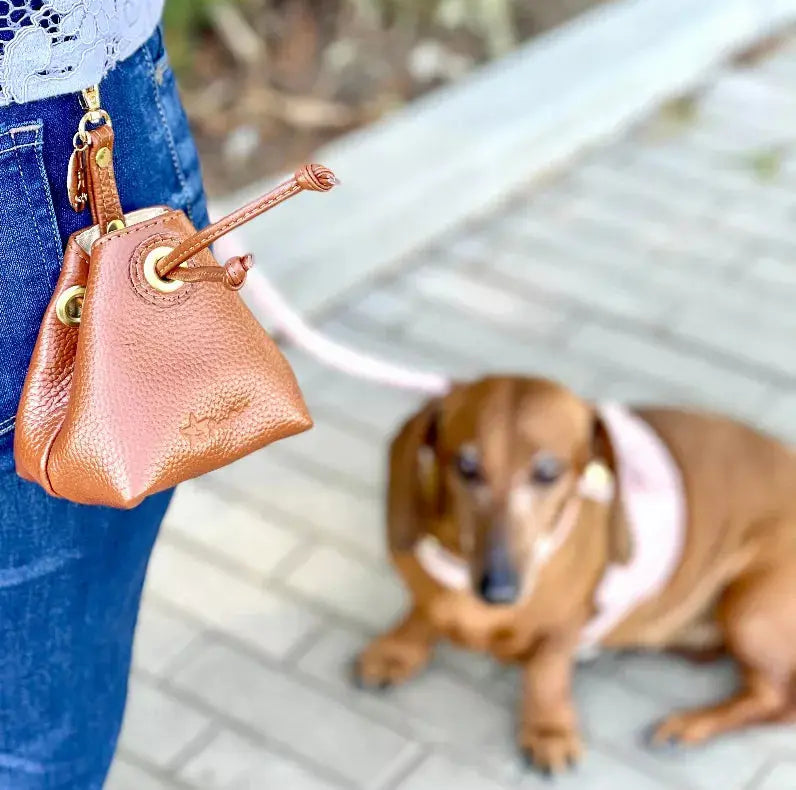 Treat Bag PoisePup