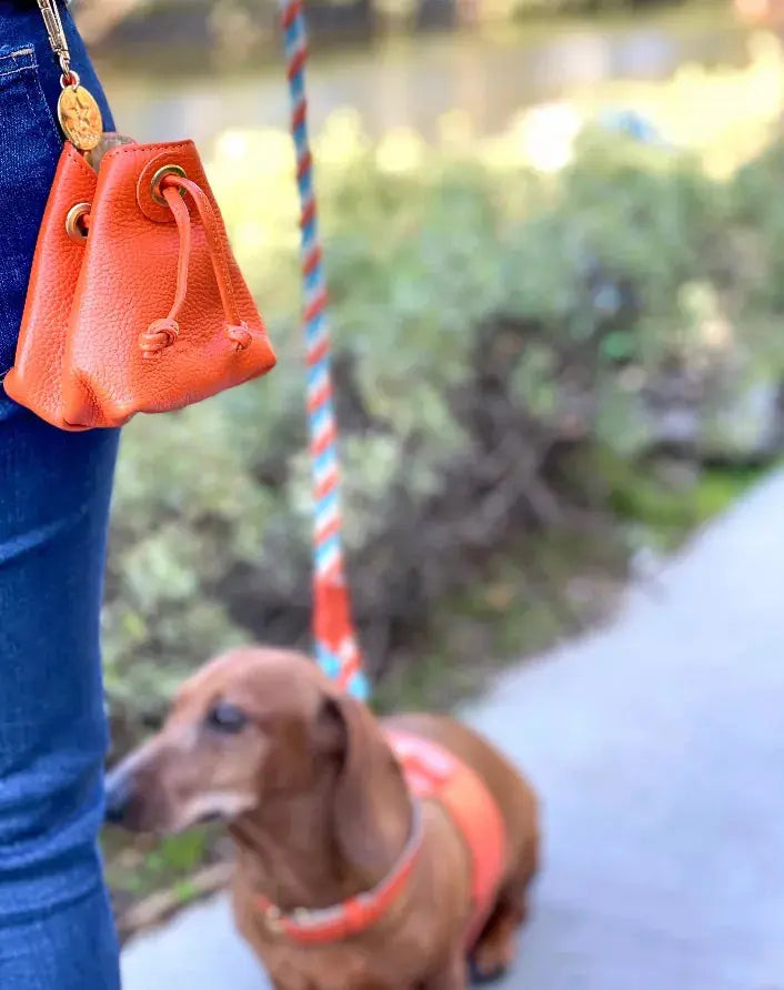 Treat Bag PoisePup