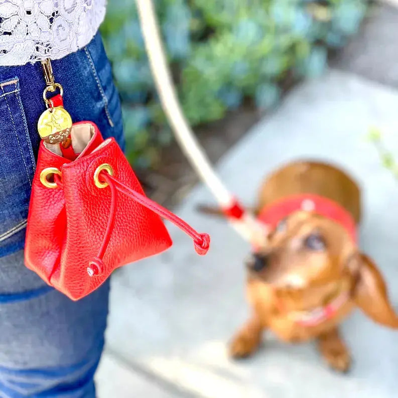 Treat Bag PoisePup