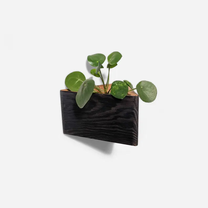 Triangle self-watering, wall-mounted planter Formr