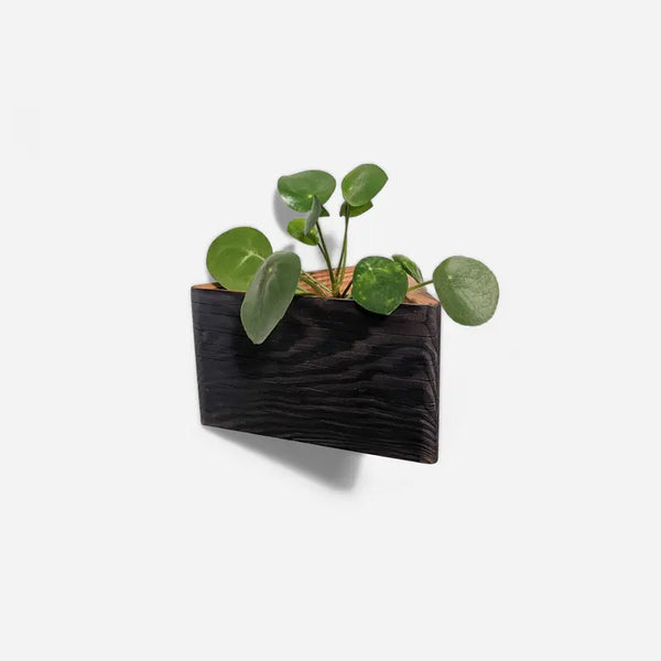 Triangle self-watering, wall-mounted planter Formr