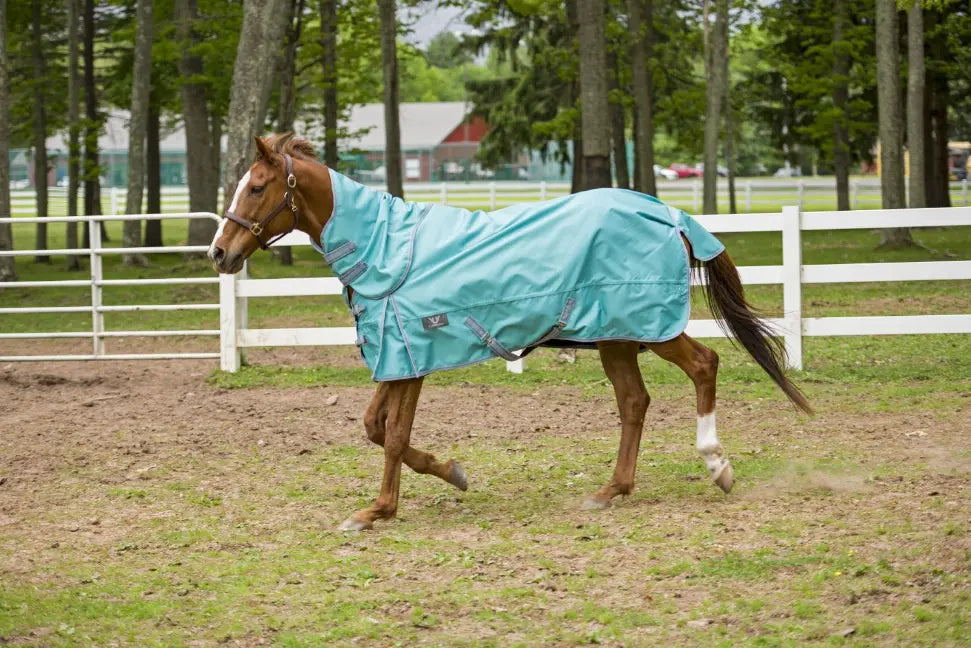 TuffRider 1200D Winter Comfy Detachable Neck Sheet JPC Equestrian