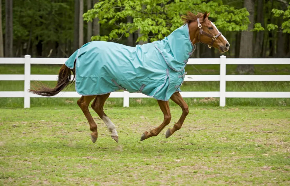 TuffRider 1200D Winter Comfy Detachable Neck Sheet JPC Equestrian
