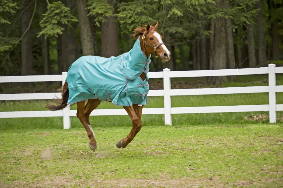 TuffRider 1200D Winter Comfy Detachable Neck Sheet JPC Equestrian