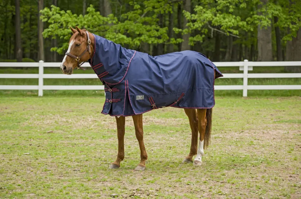 TuffRider 1200D Winter Comfy Detachable Neck Sheet JPC Equestrian