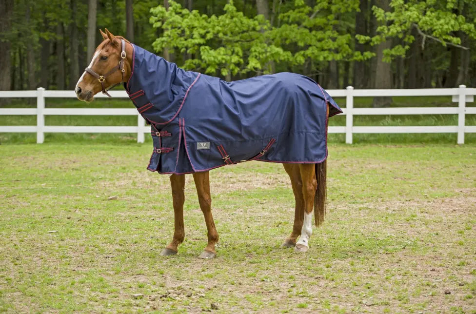 TuffRider 1200D Winter Comfy Detachable Neck Sheet JPC Equestrian
