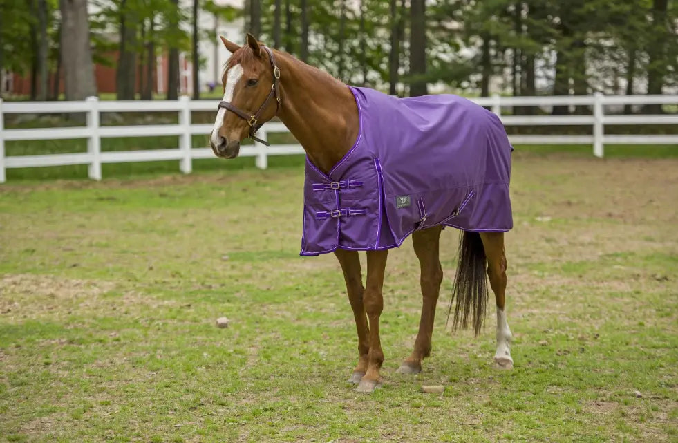 TuffRider 1600 D Super Comfy Standard Neck Blanket JPC Equestrian